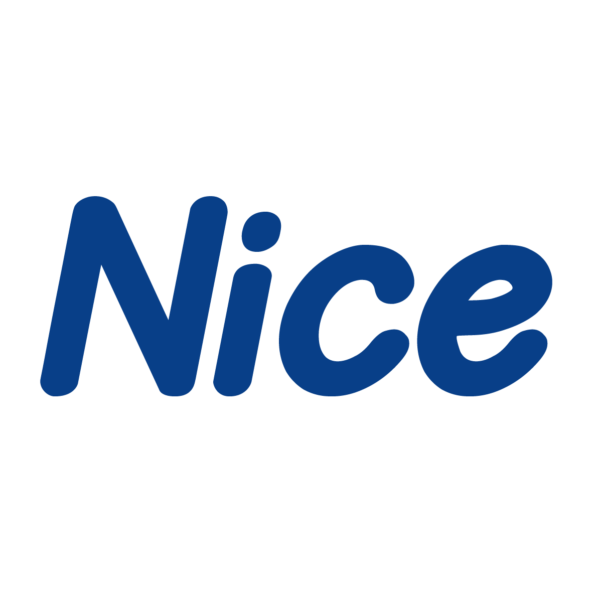 www.niceclean.ir